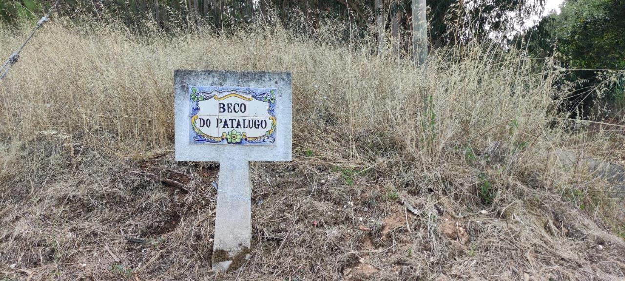 Beco Do Patalugo Apartment Salir de Matos Ngoại thất bức ảnh